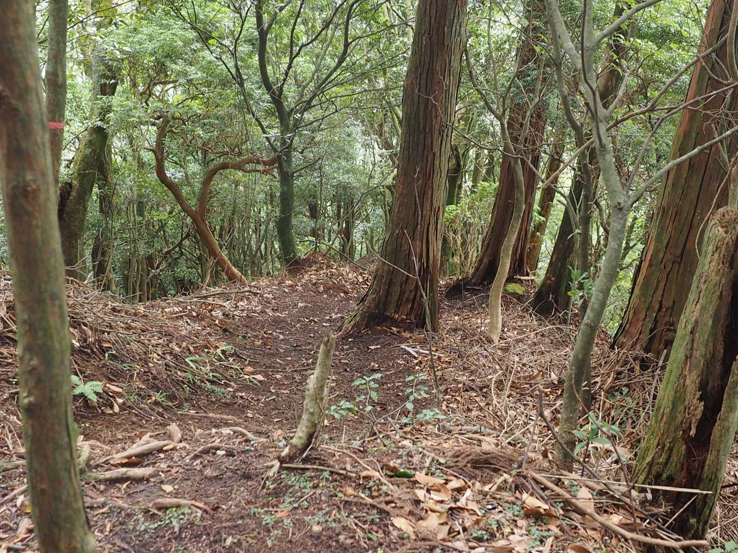 三馬峡方向への激下りに入る。真に激下りの場所は、撮影の心理的余裕なし。