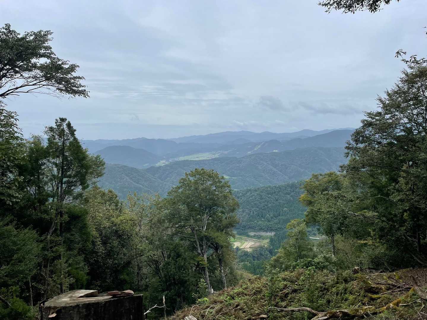 牛ヶ峰山 往復コースの写真