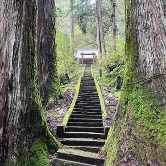 加蘇山神社⛩️