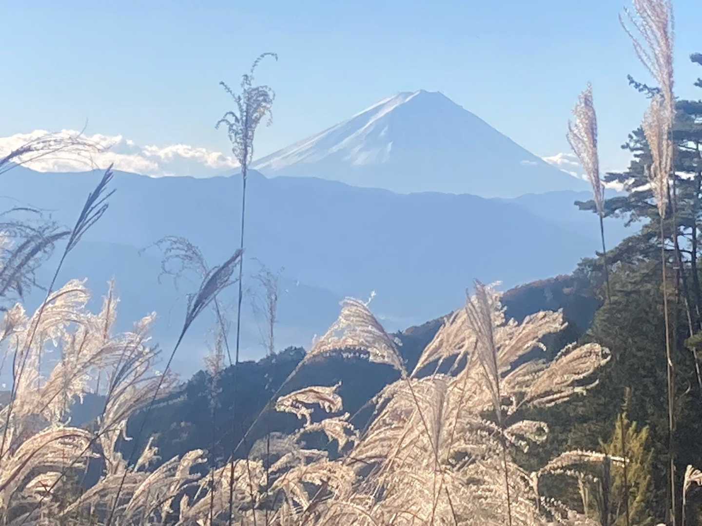 林道途中より富士山🗻
