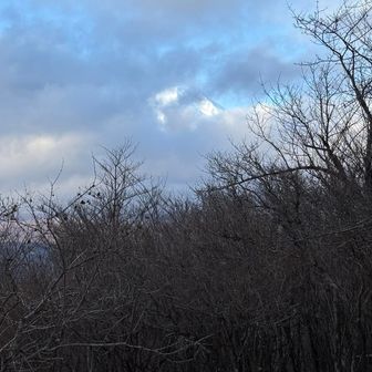 これが今日の最高の富士山（頭だけ、チラッと）