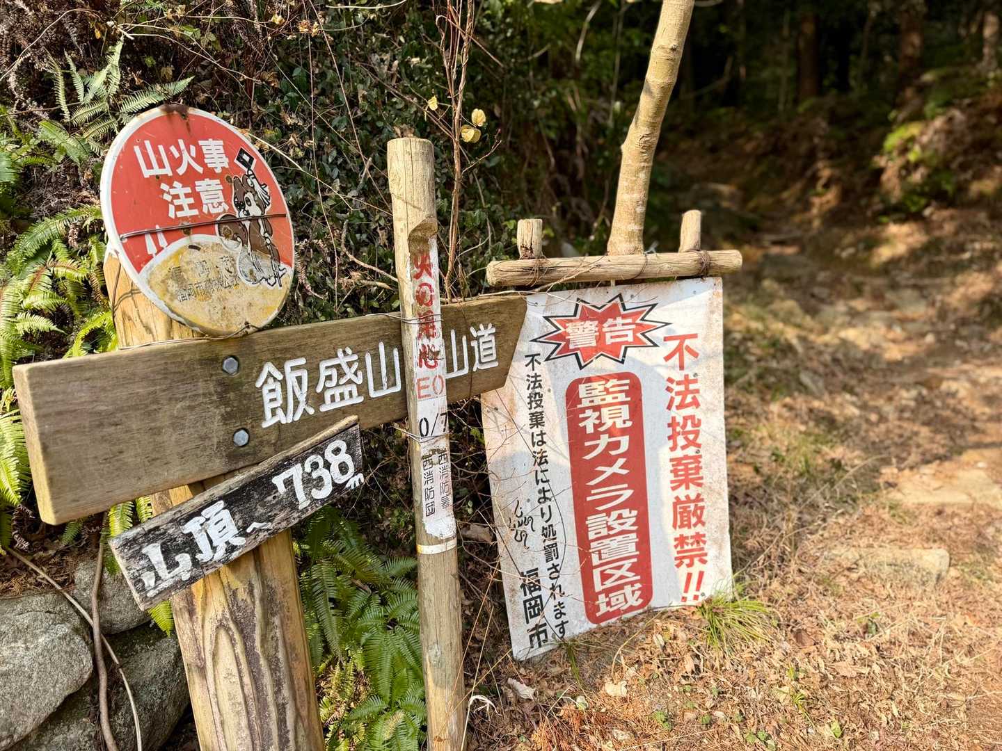 ここから登ります