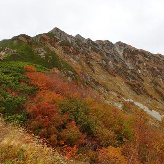 雄山？