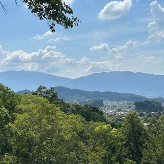 金剛山が見えているっぽい