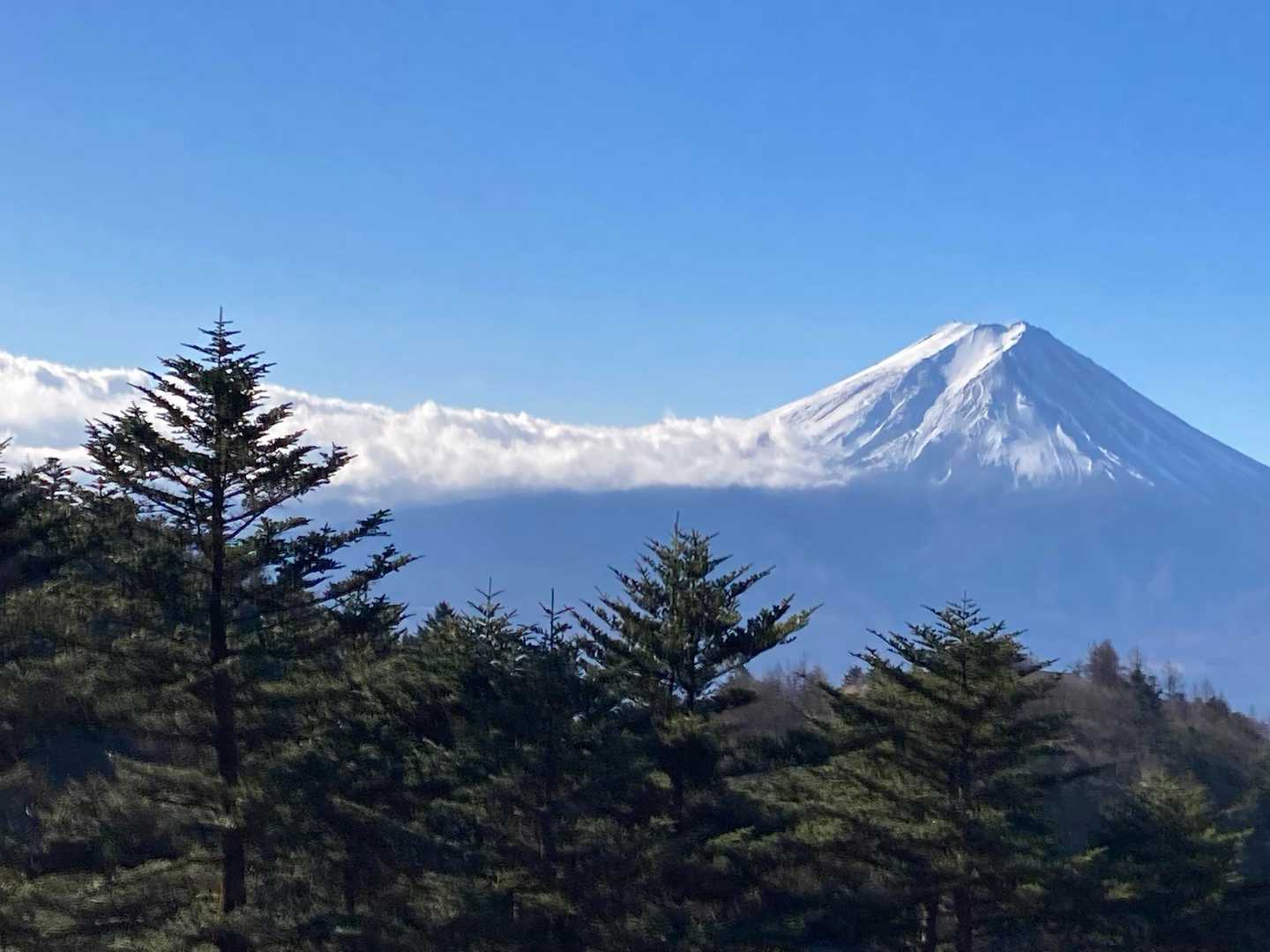 まぁまぁの下りで、寒いし力が入ってしまいますが、指先の冷たくて痛いはすぐに治りました｡
時折、富士山も眺められて、嬉しい☺️
