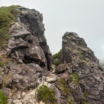 抜戸岩あたりで一気にガスが増えて見えなくなった。