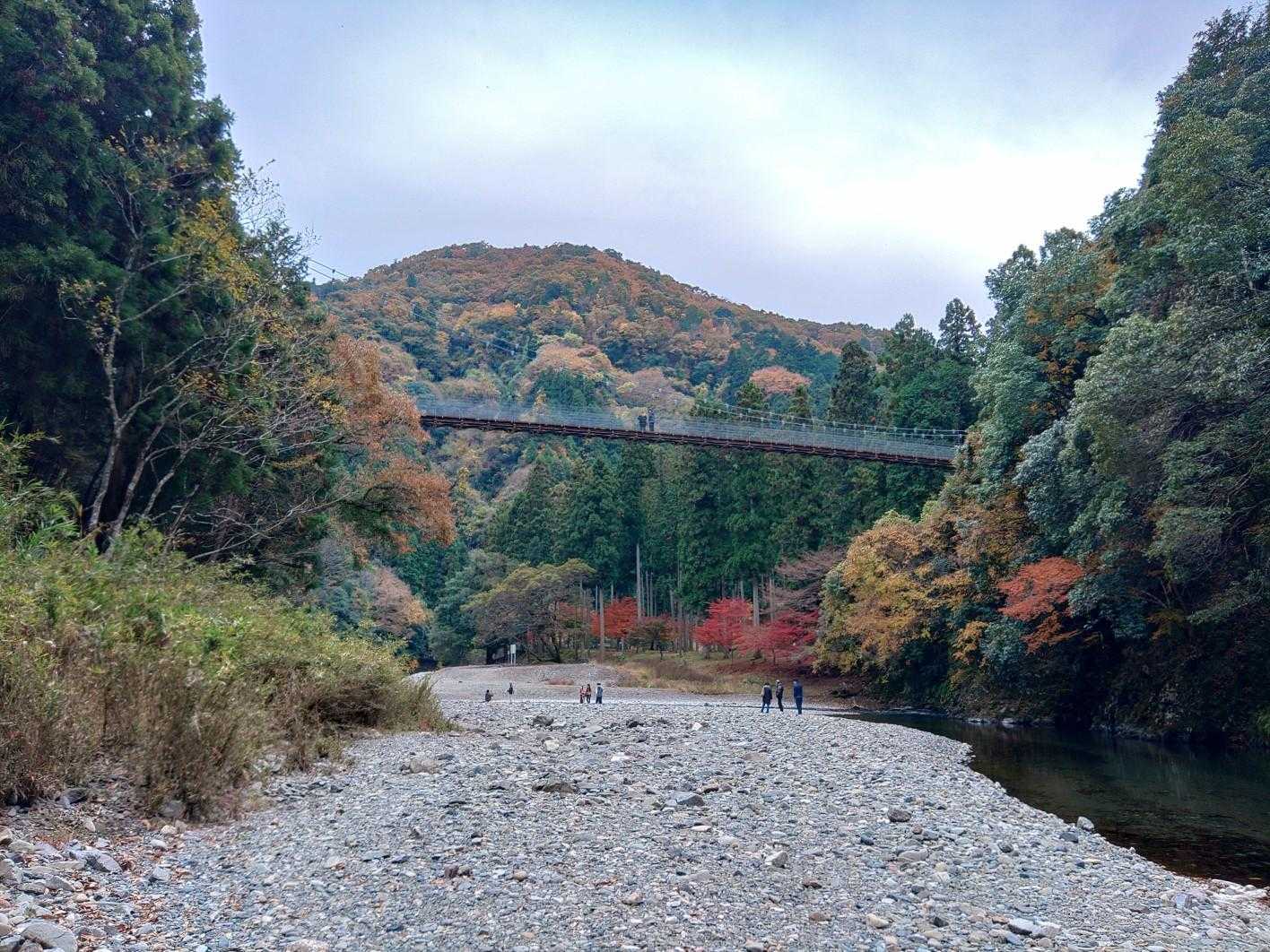 観光客の皆様
終点に行ってみない？
行かないか
