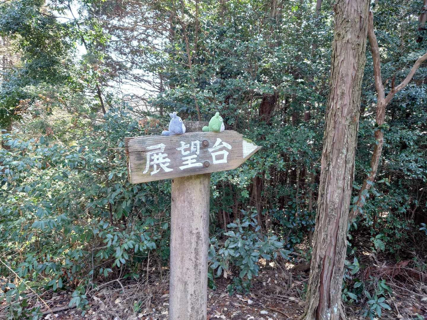 で、展望台方面へテクテク🥾
緑:あの看板山頂じゃないの？😞
灰:俺に聞くなよ🤣迷わず行けよ！行けばわかるさ！