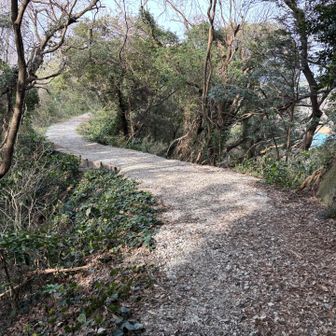 下山はいい感じのクネクネ道です