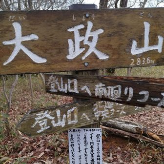 大政山山頂
展望なし
私有地を開いていただき感謝
山道の保守もバッチリ