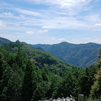 いい景色