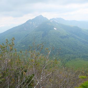 山頂からニペソツ山