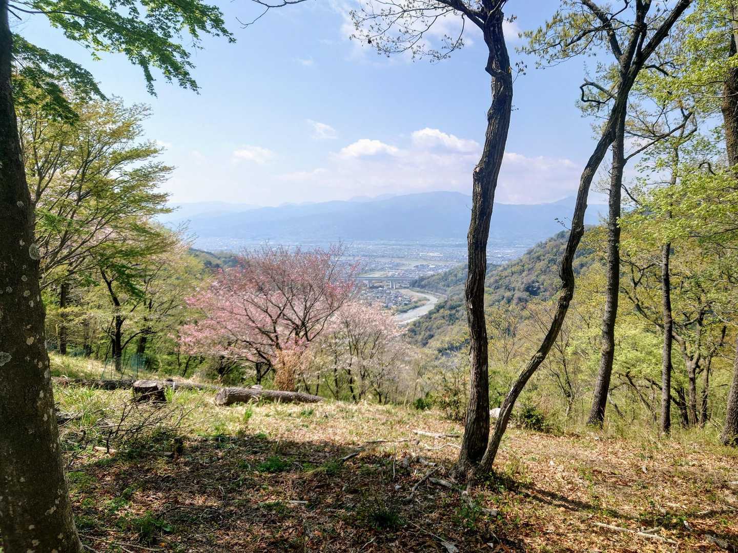 秦野駅-浅間台-頭高山-渋沢駅 縦走コースの写真