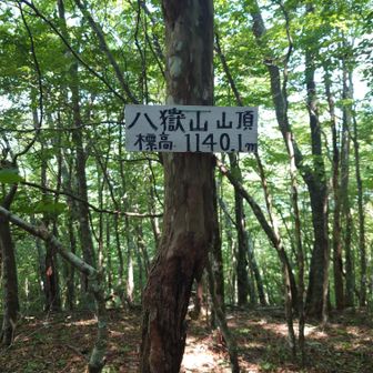 八嶽山山頂