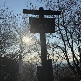 逆光の時の撮影方法調べようと思った写真