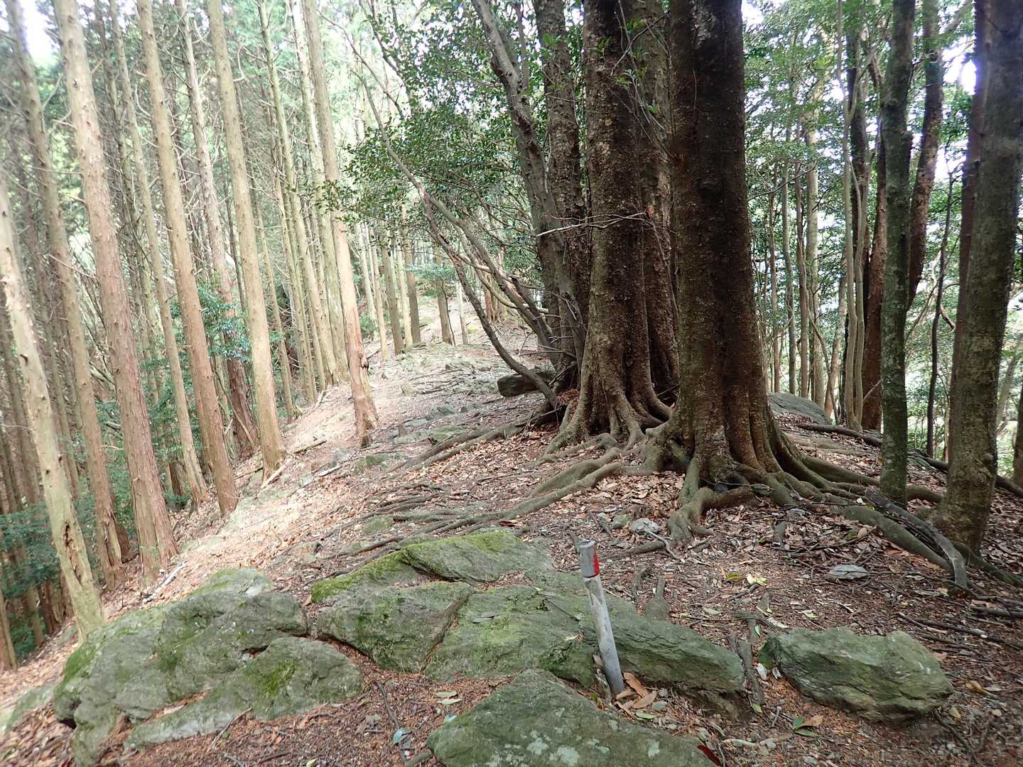 ほっとする