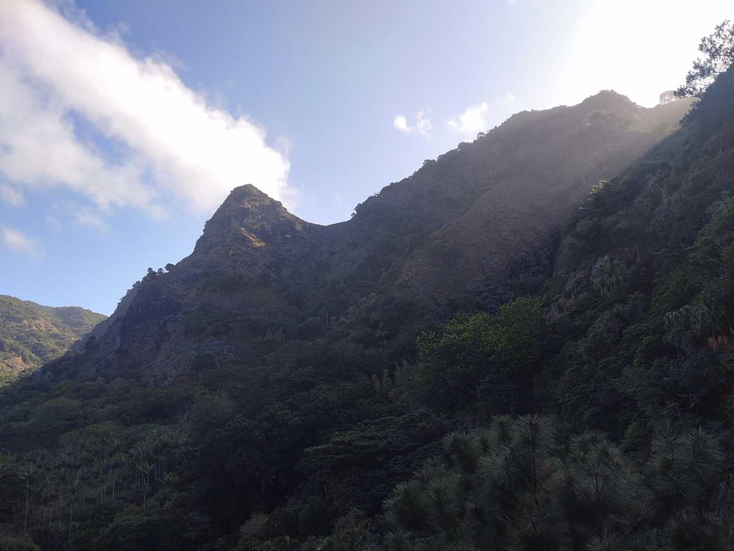 衝立山 往復コースの写真