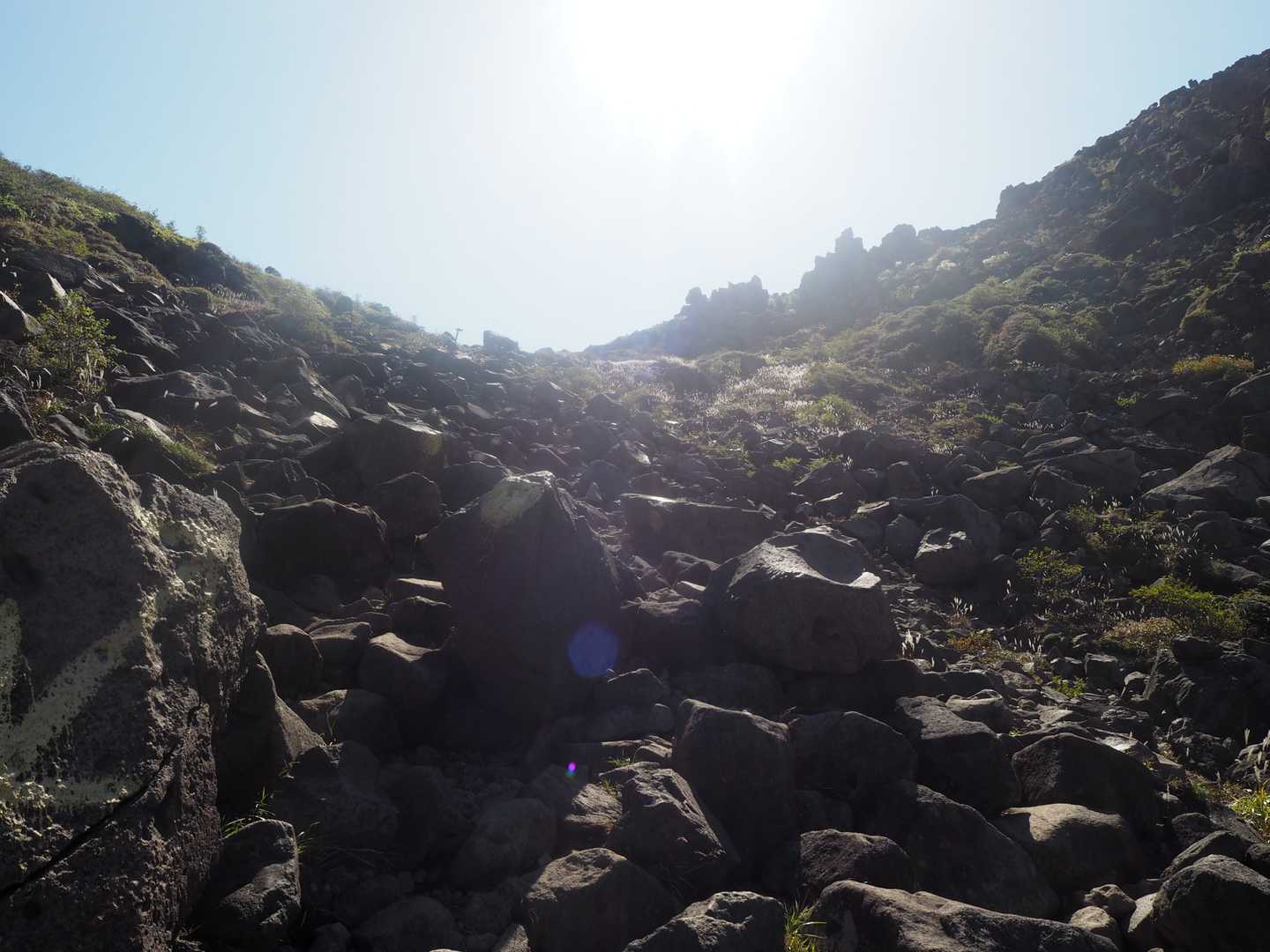 牧ノ戸峠-沓掛山-星生山-諏蛾守越-大曲登山口 周回コースの写真