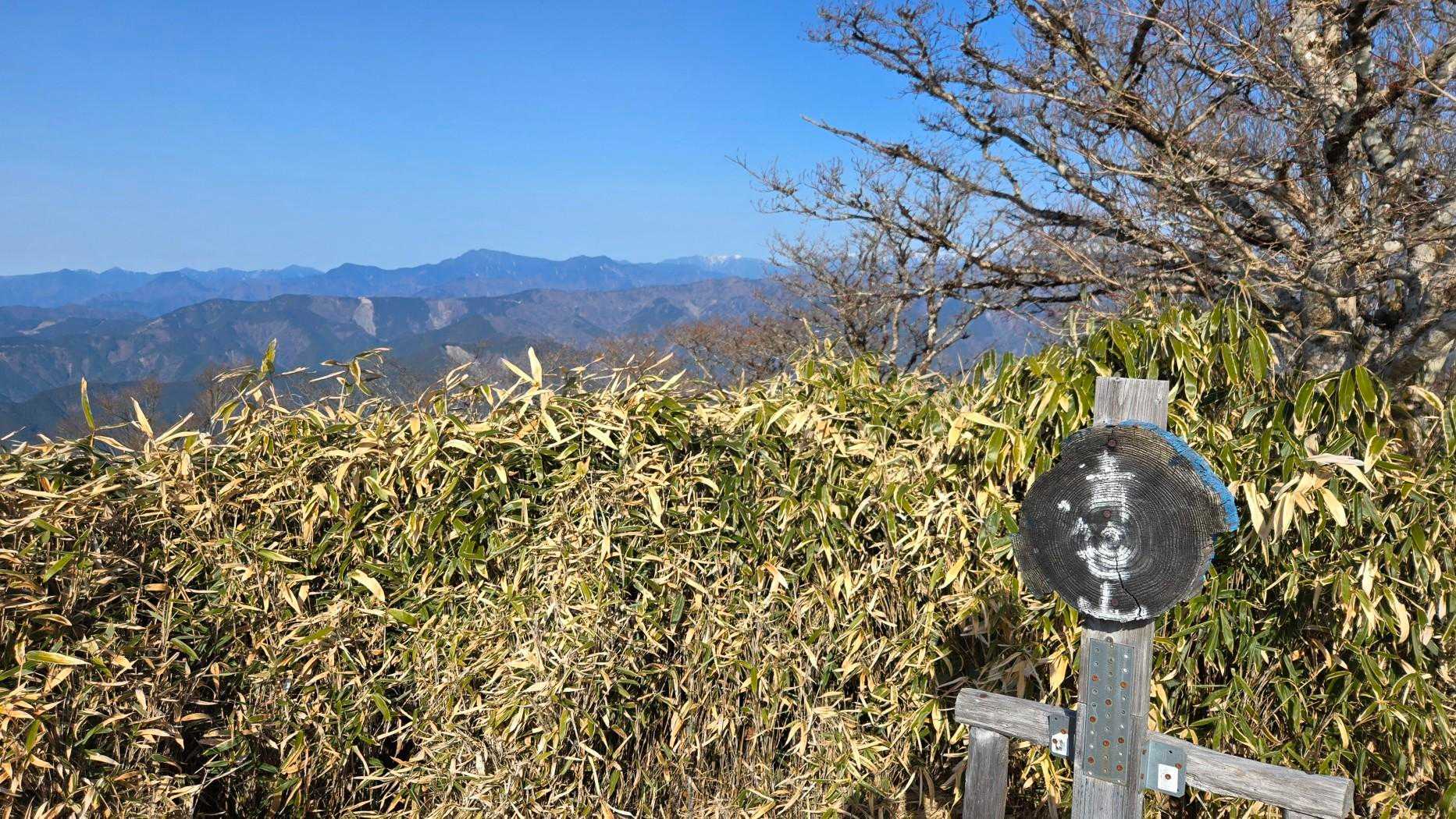 安倍東山稜🏔´-青笹山 / のぶさんの青笹山の活動データ | YAMAP / ヤマップ