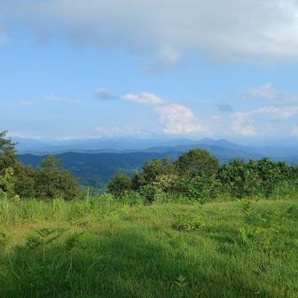 日陰だし見晴らしいいし最高！