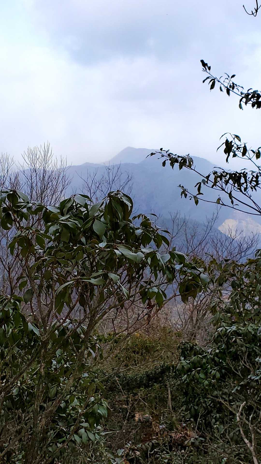 北方に見えるのは、龍頭山か⁉️