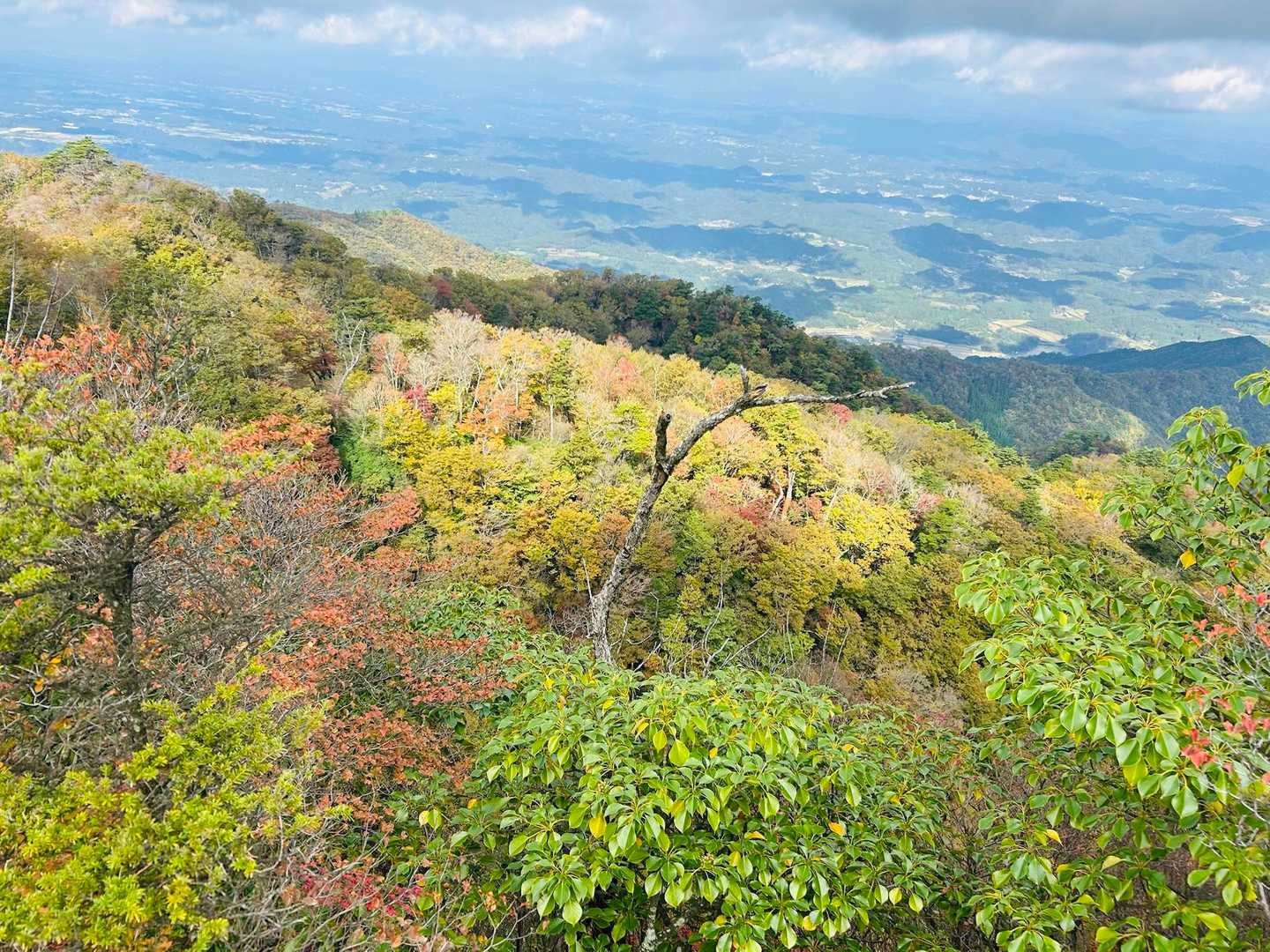 障子岩-大障子岩 縦走コースの写真