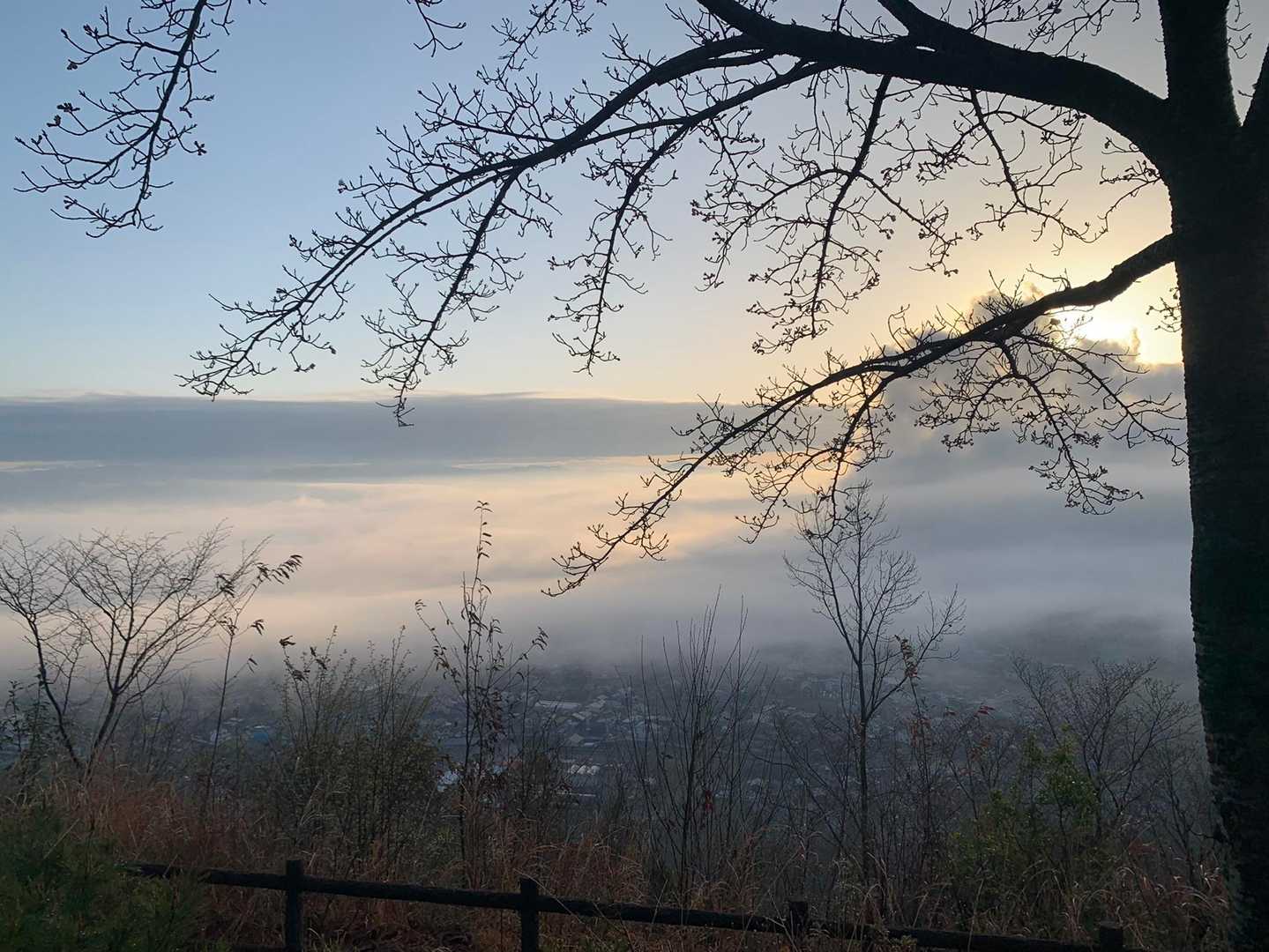 鳩吹山 往復コースの写真