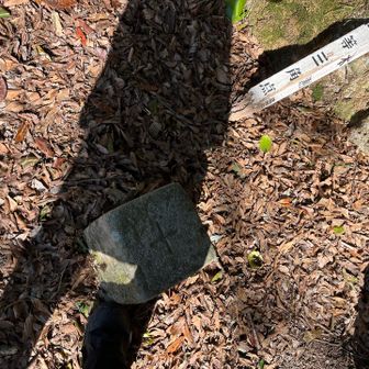 一等三角点なり