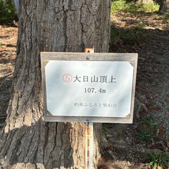 7ピーク目！
ここまでが蜘蛛の巣との戦いでした
ここですれ違った方からは「この先は蜘蛛の巣なかったよ」とのこと
ありがとうございます