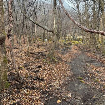 さて！
ここからが↖️登山スタート🥾
が、こんな感じなので　アイゼンを置いてきたんです😅　今回の判断は、去年の事を忘れとるバイ、と
馬鹿チィーーン　です🫩