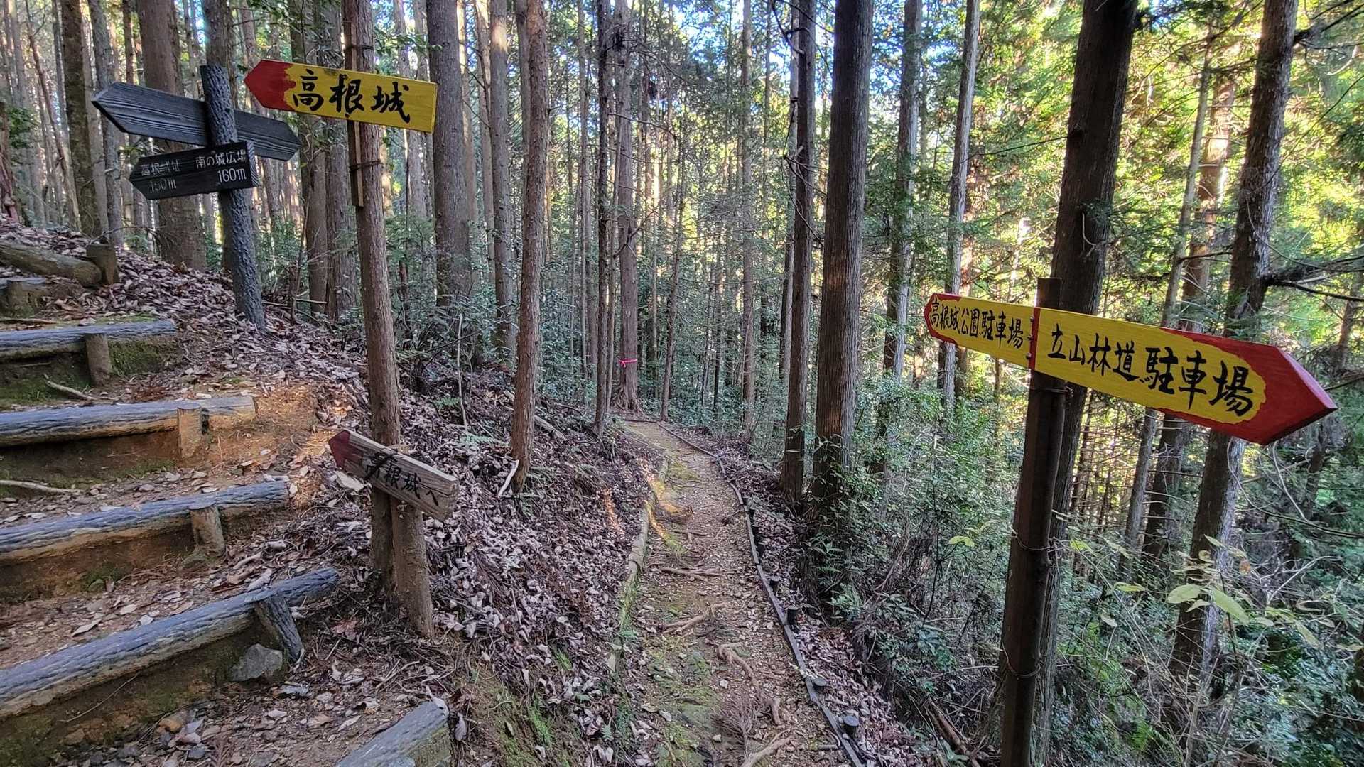 分岐有り。
このまま、薄暗い木々の間を歩くよか、やっぱり自分は城域を歩きたいって事で👈