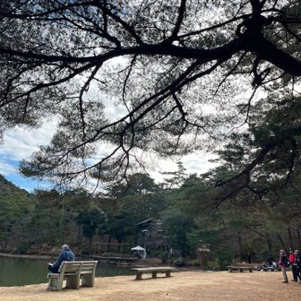 再度山公園。
老若男女の方達で憩いの場。