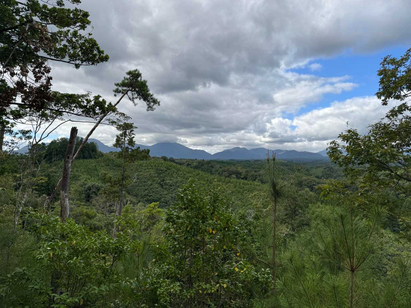 蒜山3座？
