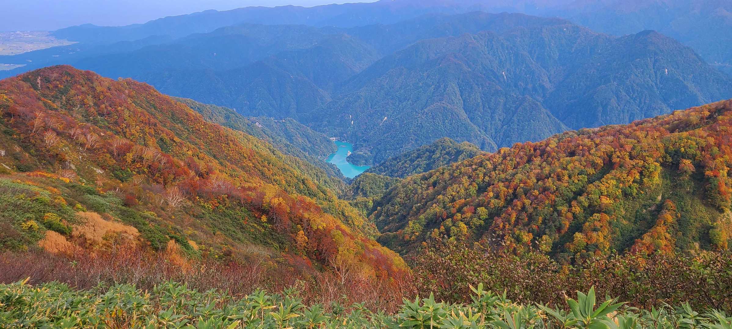 前僧ヶ岳-僧ヶ岳 往復コースの写真