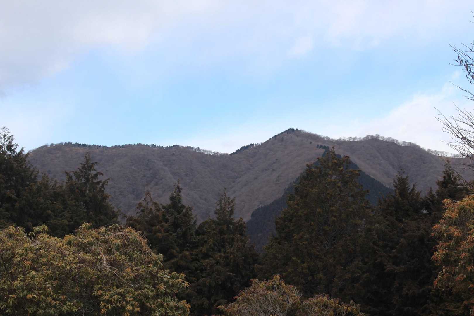 高松山入口バス停-ビリ堂-高松山-フトウ山-桜丸-ダルマ沢 縦走コースの写真