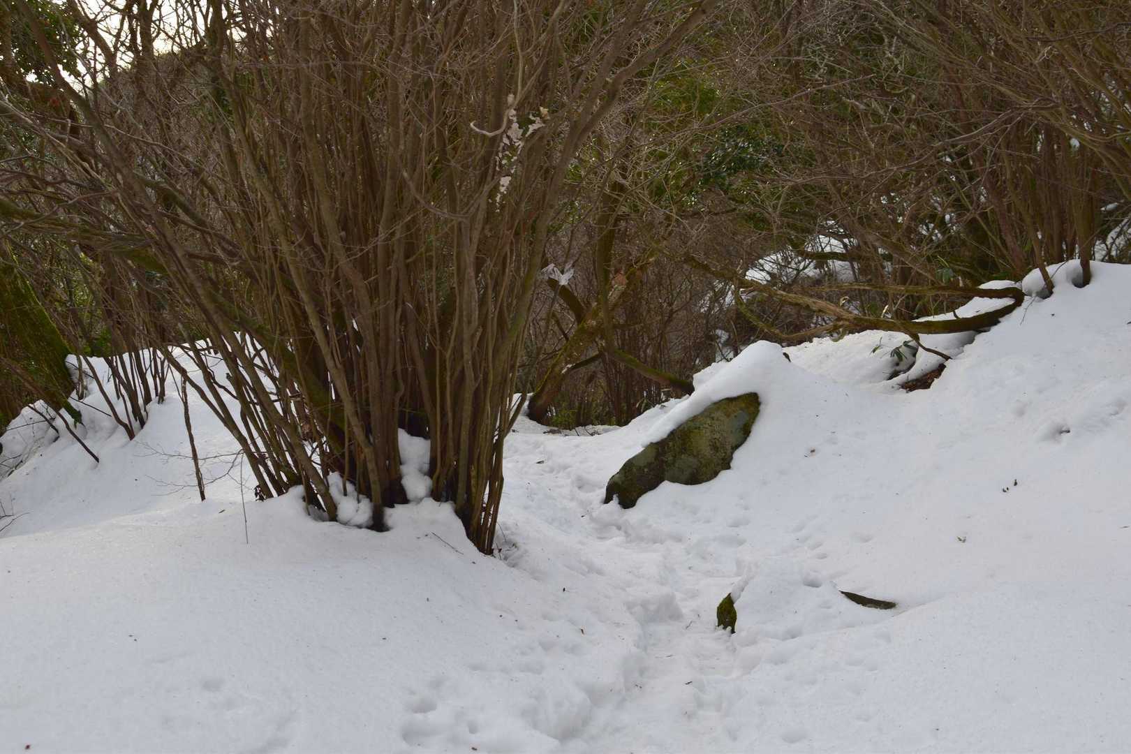 下りの雪はチェーンアイゼンのおかげで快適に歩ける、雪がクッションになって岩の上に足を置くより膝に優しい😄