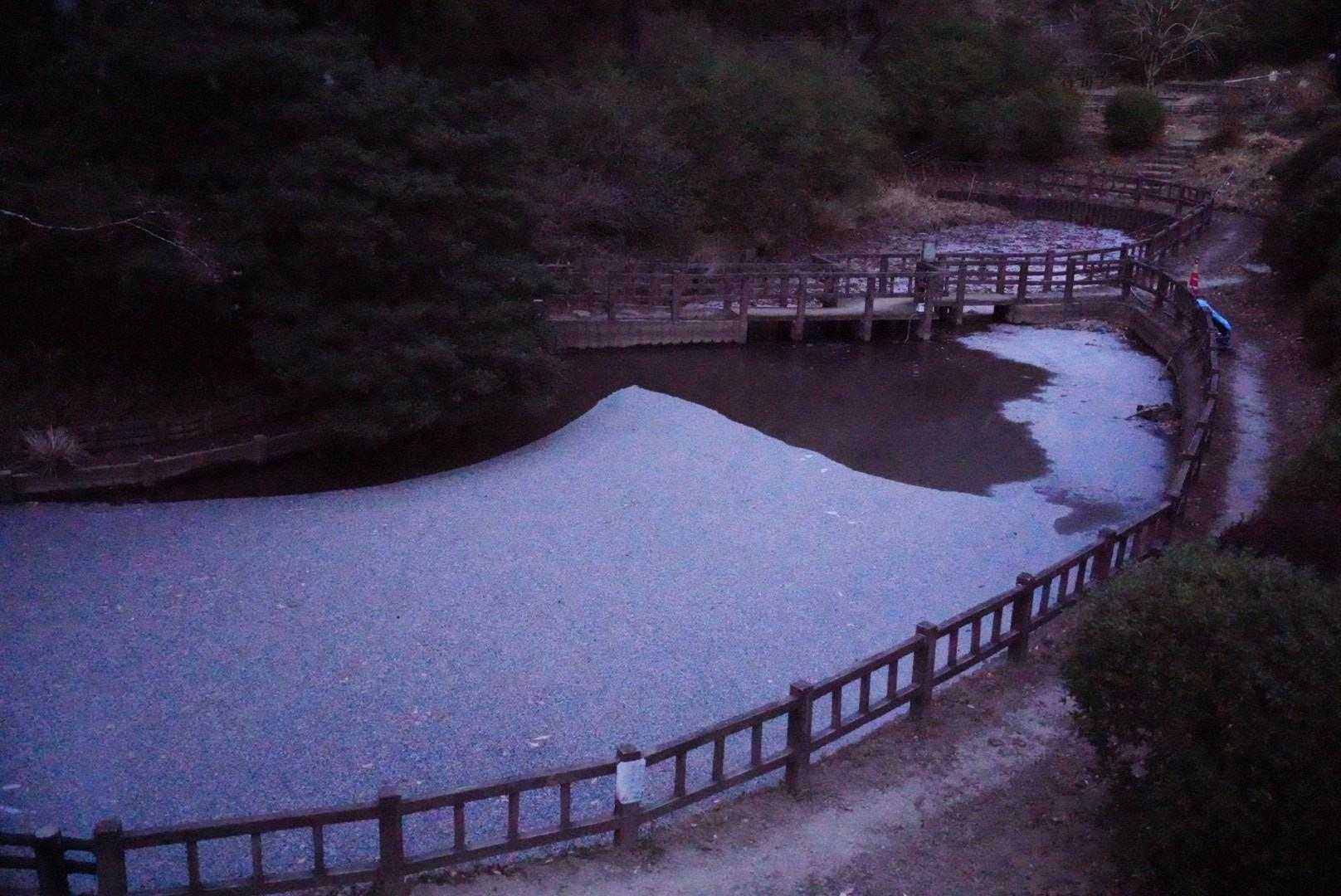 吾妻公園駐車場-吾妻山 往復コースの写真
