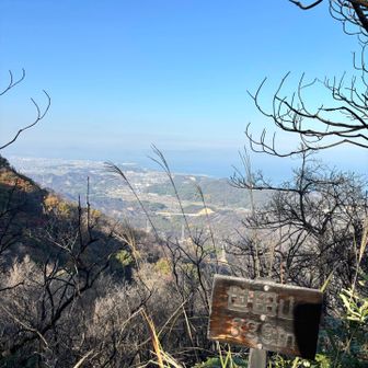 世田山からの眺望
