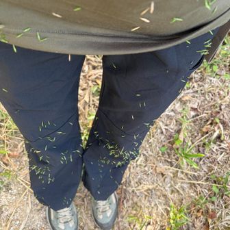 この服に着いた沢山の

くっつき虫？？？
何と言う🌱でしょう？？

なんだかチクチクすると思ったら
なんとこんなに付いてました😱

これからこれを取るのに30分
ここで格闘しました🤣