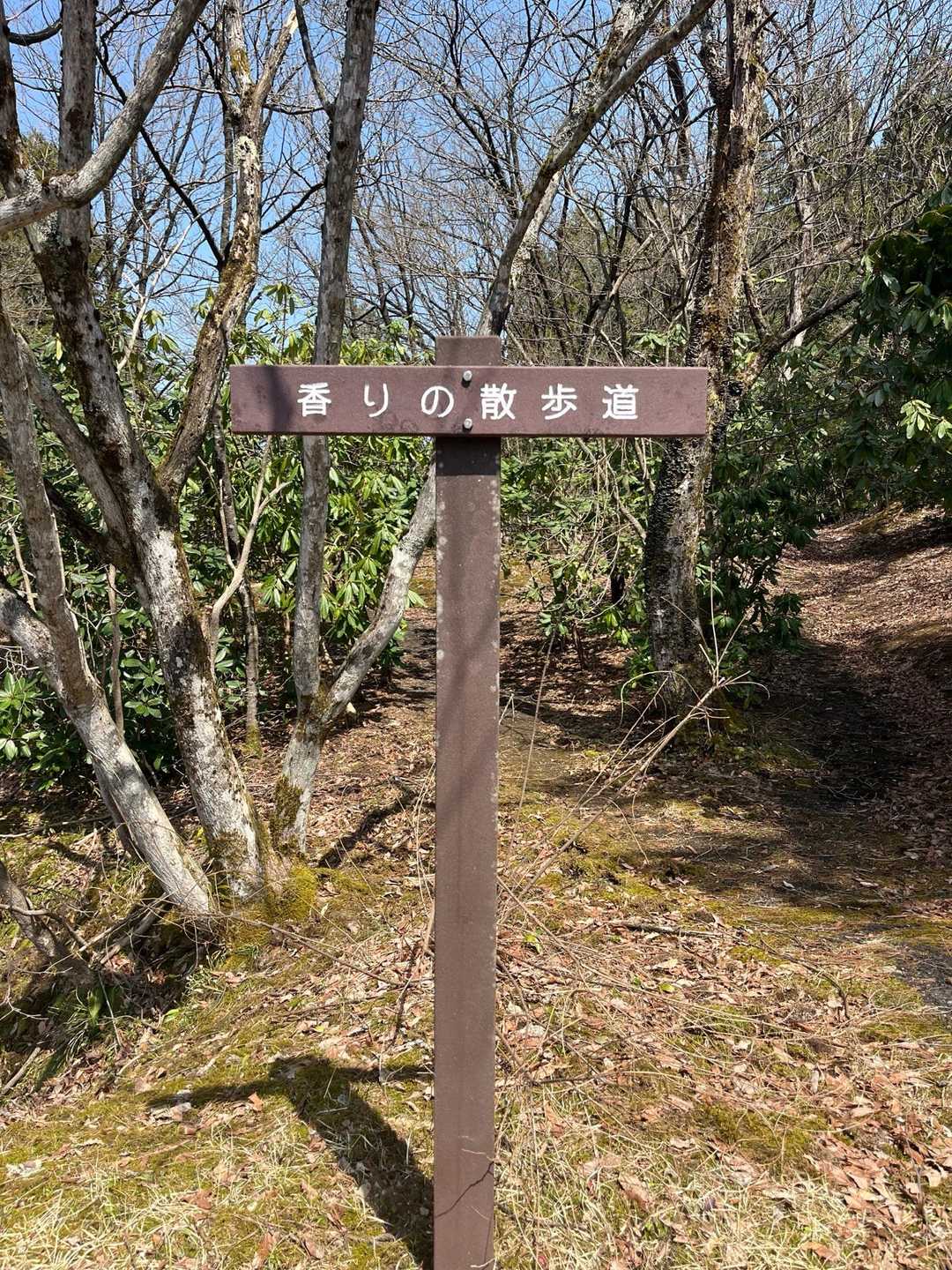 尖山から🚙で、7分移動
香りの散歩道から