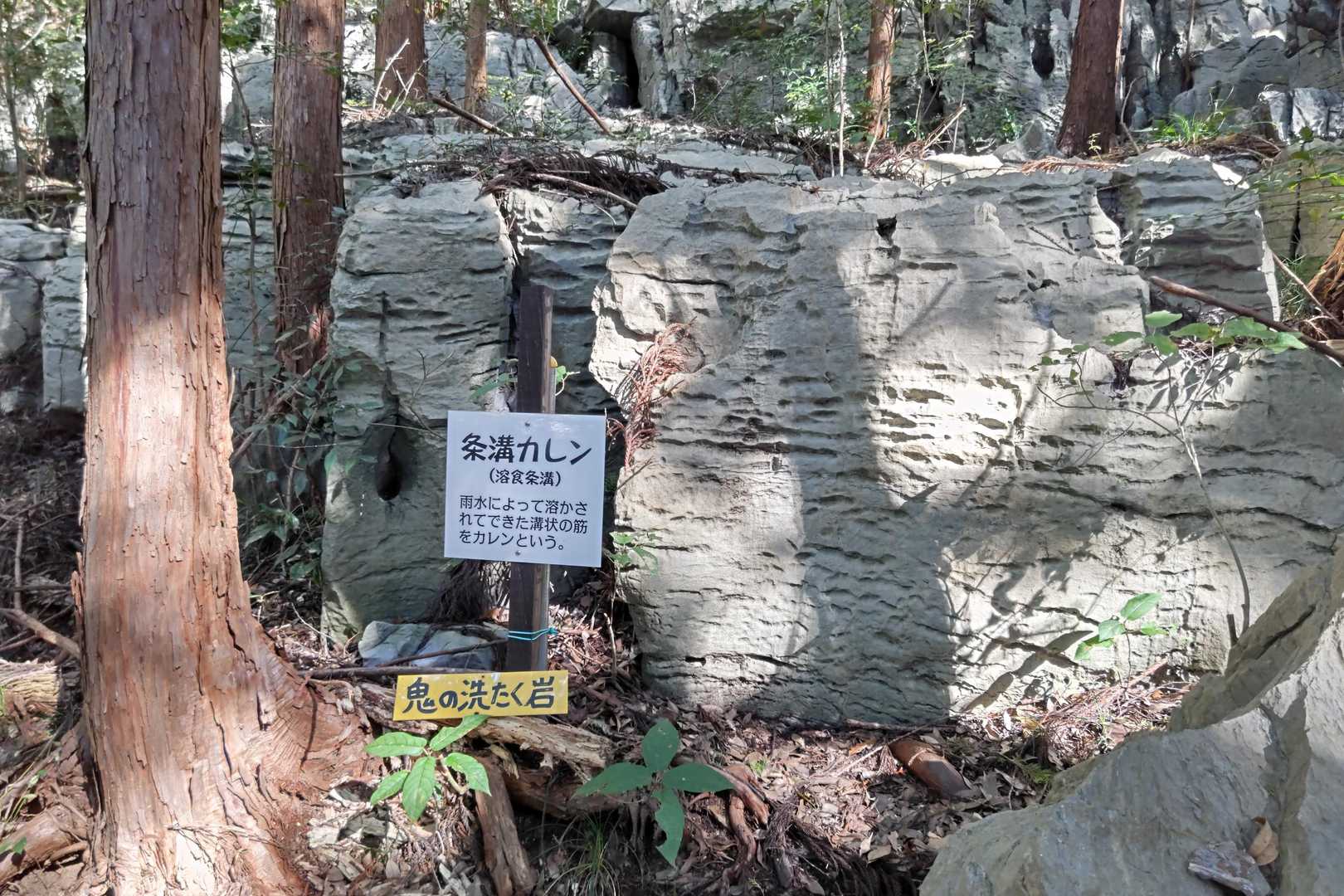 何度も見ても不思議ですね
