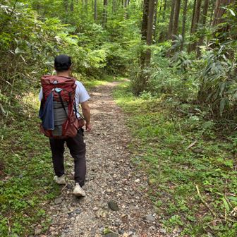 どんびきやー　って言いながら歩いて行った　
