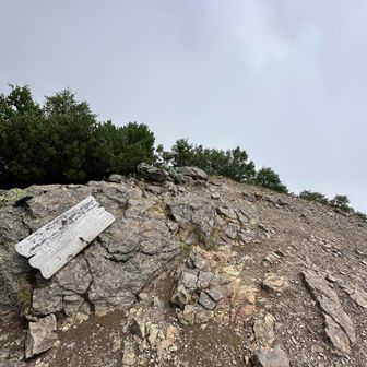 駒津峰から仙水峠までは、石の多いジグザグ道
足元が濡れていると滑りやすいので要注意