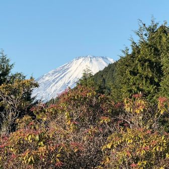 シタンゴ山頂から、富士山がチラリと見えました。