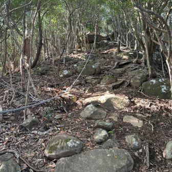 小さいって名前が似合わない急坂
山椒みたいなお山だよ