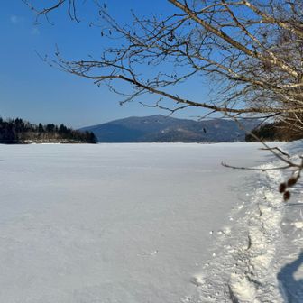 湖に降りてみる