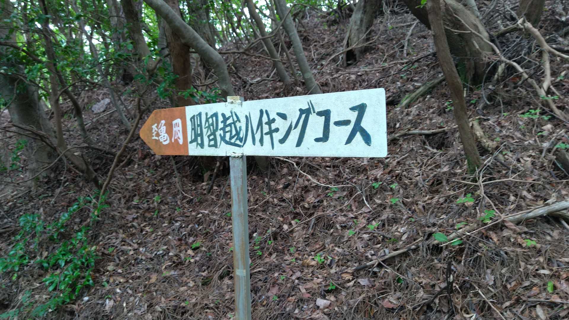 ここはハイキングコースなんですか！この距離はなかなかですよ。
