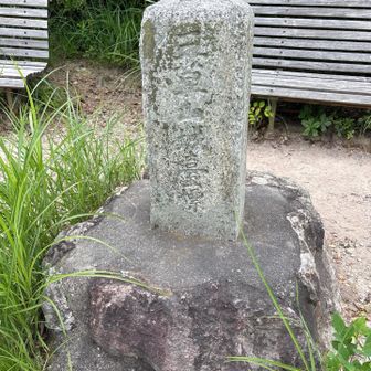 三草山城臺標（みくさやまじょうたいひょう）
この山頂にかつて山城があったんですね🏯