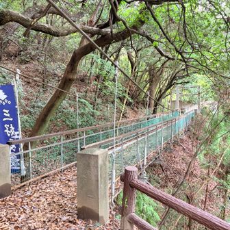 途中に吊り橋？あり🐜