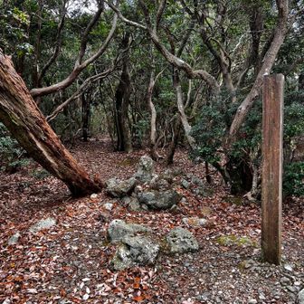 ⛩️お参りして🙏